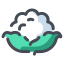 icons8 cauliflower 64