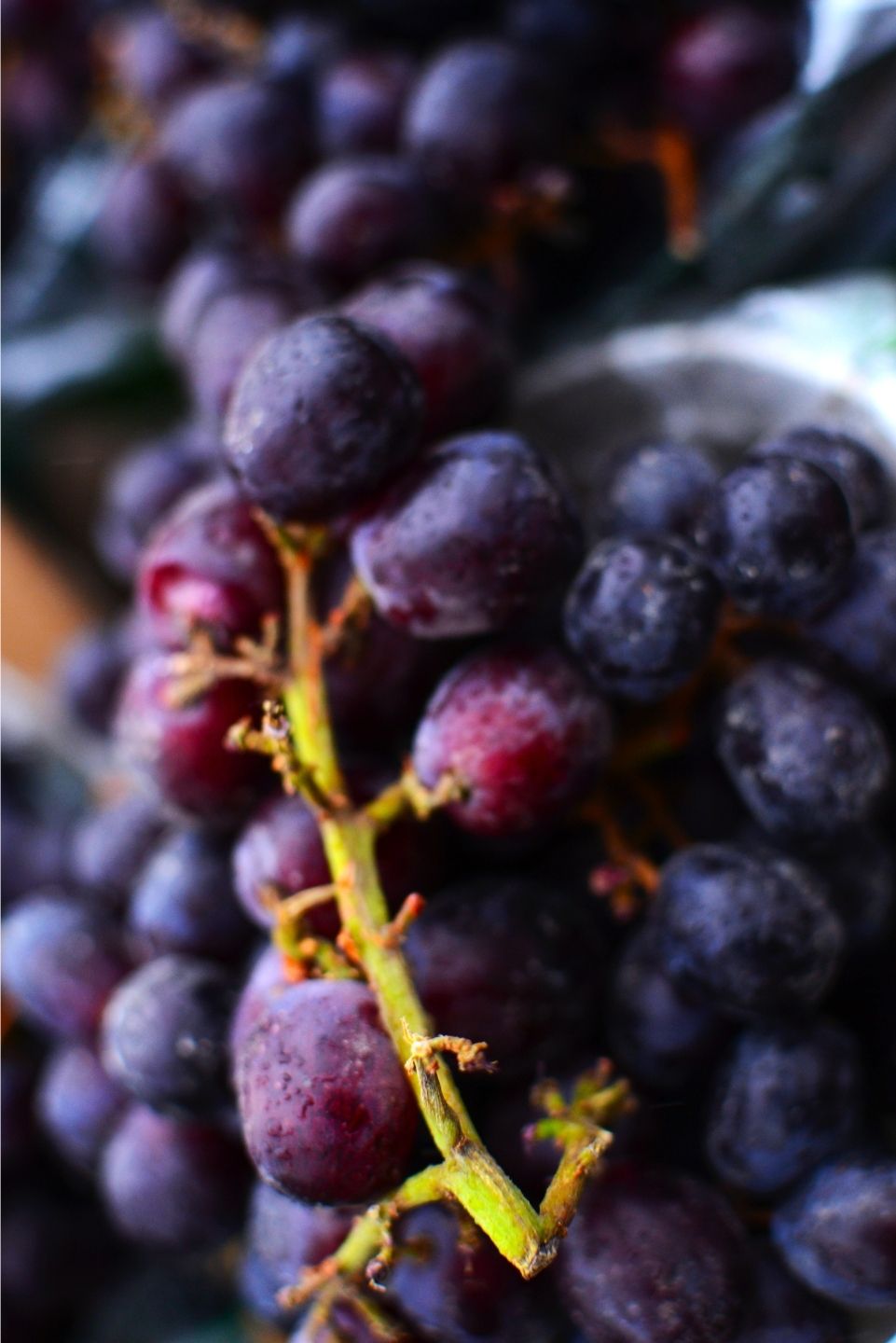 R4C Table grapes spraying