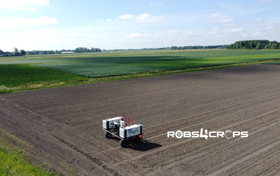 robs4crops field