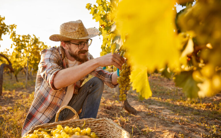 Farmer working with food