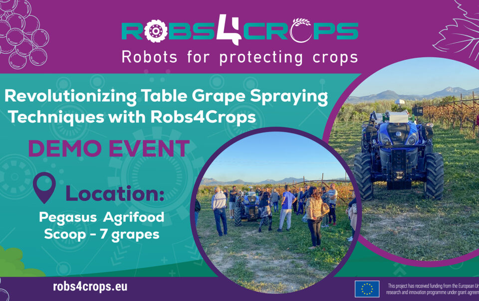 Table Grape Spraying
