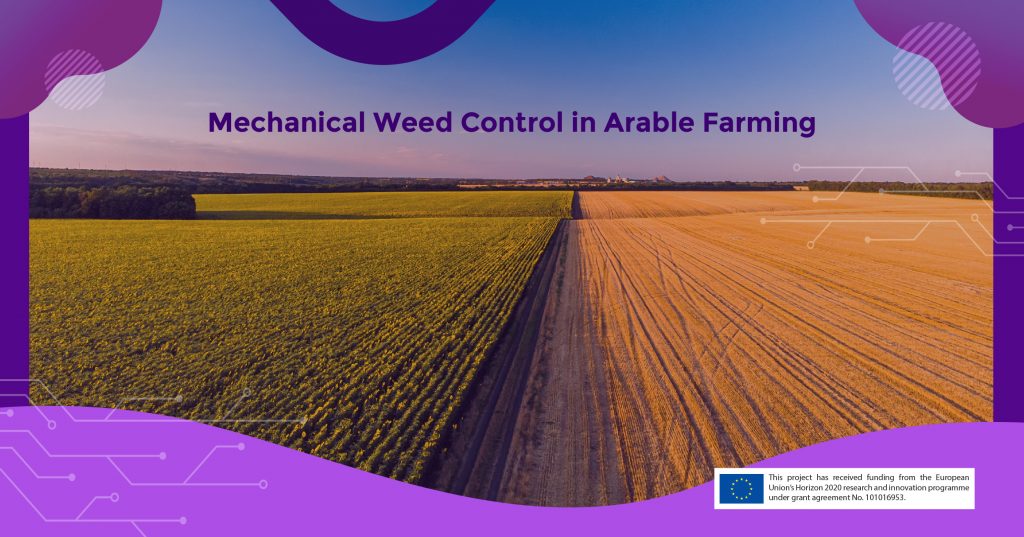 Mechanical Weed Control in Arable Crops Farming