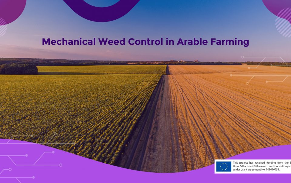 Mechanical Weed Control in Arable Crops Farming