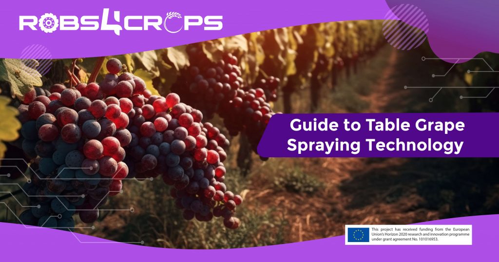 Image representing blog about advancements in table grape spraying technology