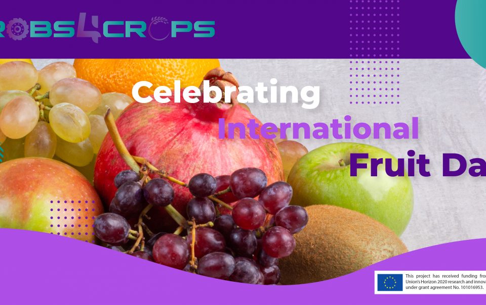 International Fruit Day